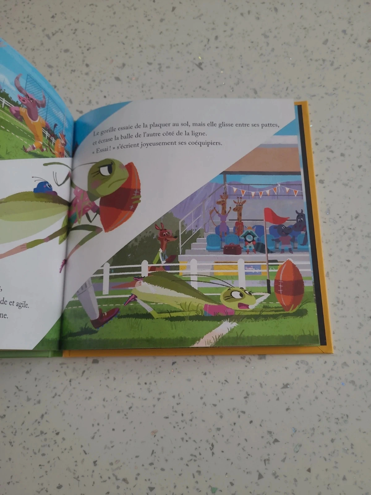 Mcdo Rugby Match Book – photo 3